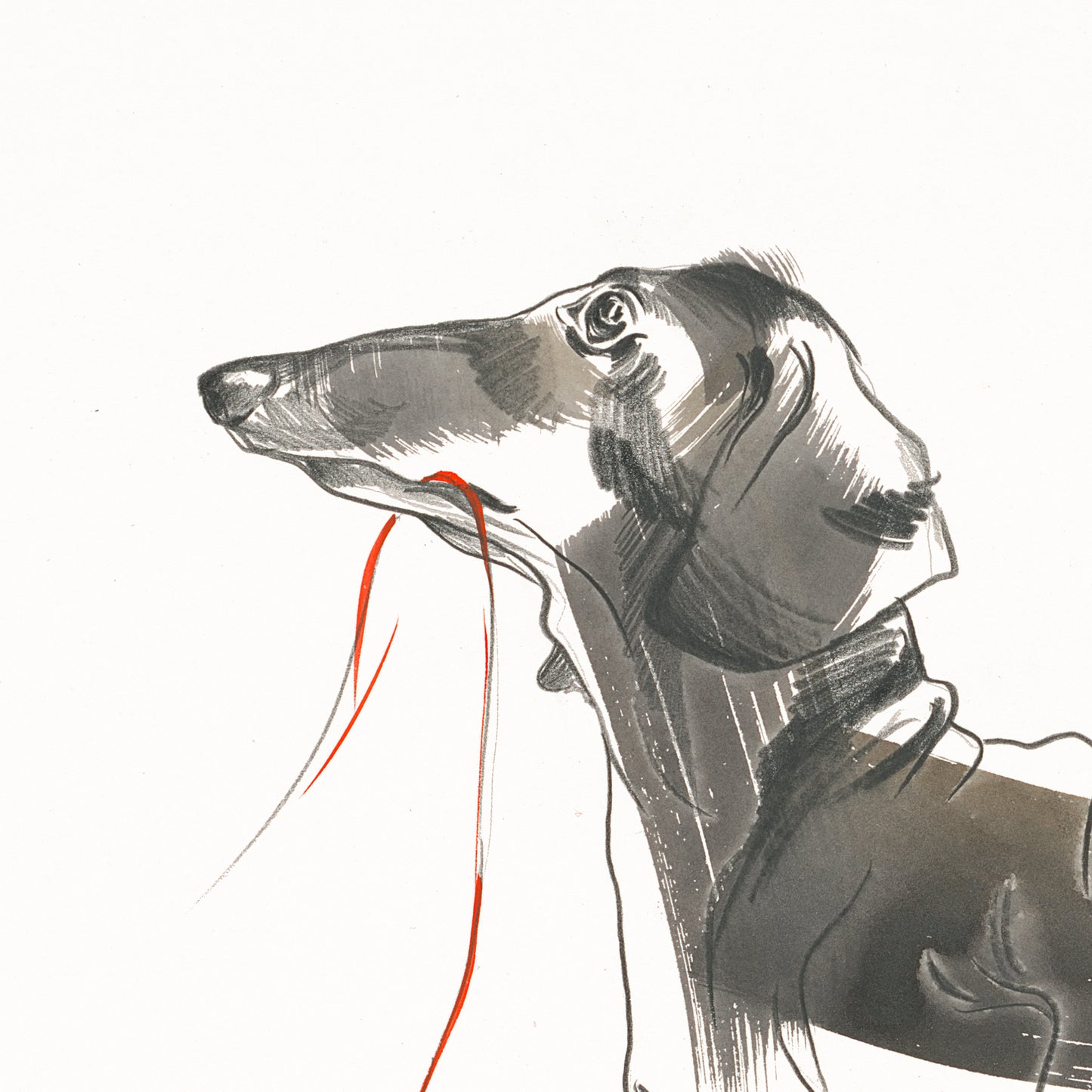 Dackel mit Schnur - Kunstdruck (60x40cm)