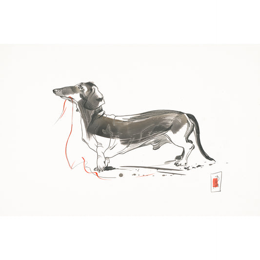 Dackel mit Schnur - Original (61x40.5cm)