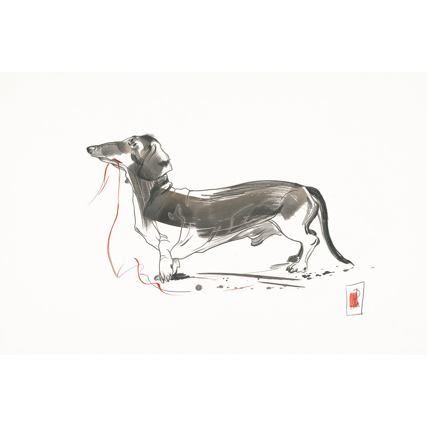 Dackel mit Schnur - Kunstdruck (60x40cm)