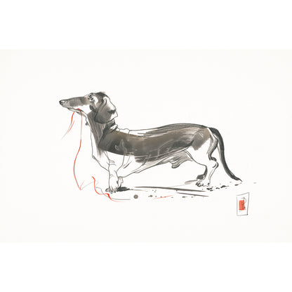 Dackel mit Schnur - Kunstdruck (60x40cm)