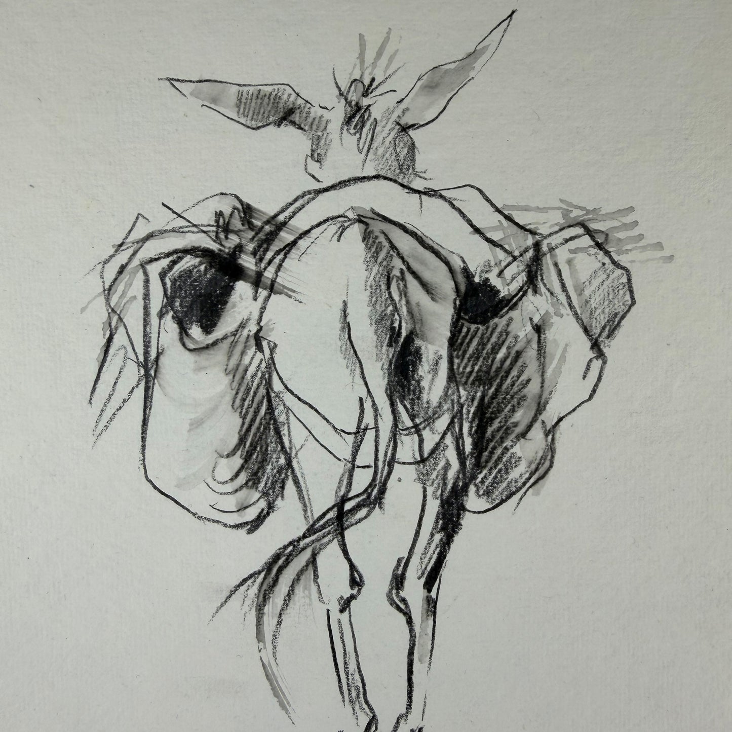 Esel 1 - Unikat (21x30cm)