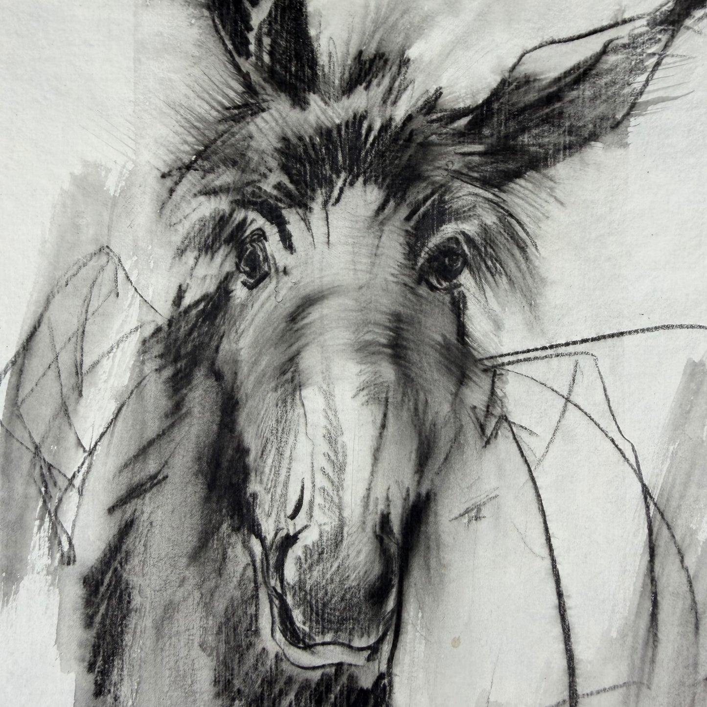 Esel 2 - Unikat (21x30cm)