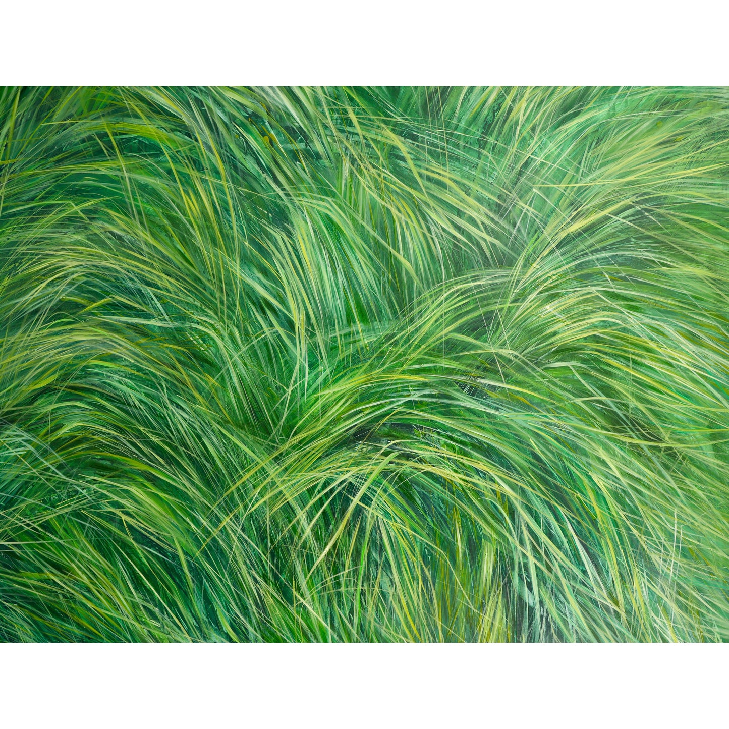 Grünes, grünes Gras - Unikat (150x120cm)