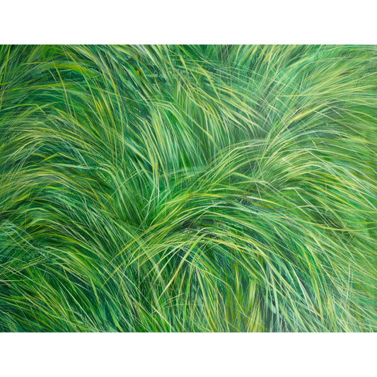 Grünes, grünes Gras - Unikat (150x120cm)