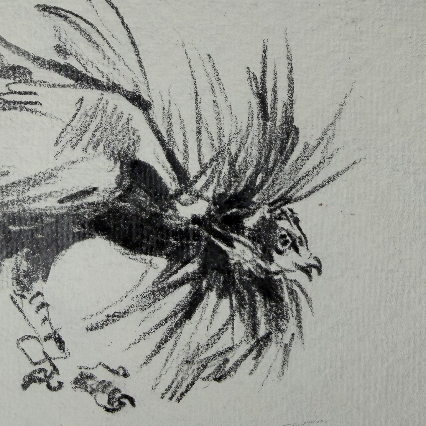 Hahn 6 - Unikat (21x30.5cm)