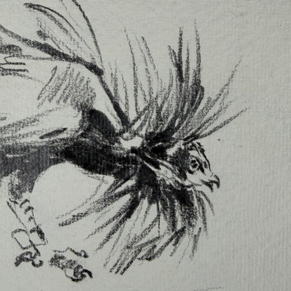 Hahn 6 - Unikat (21x30.5cm)