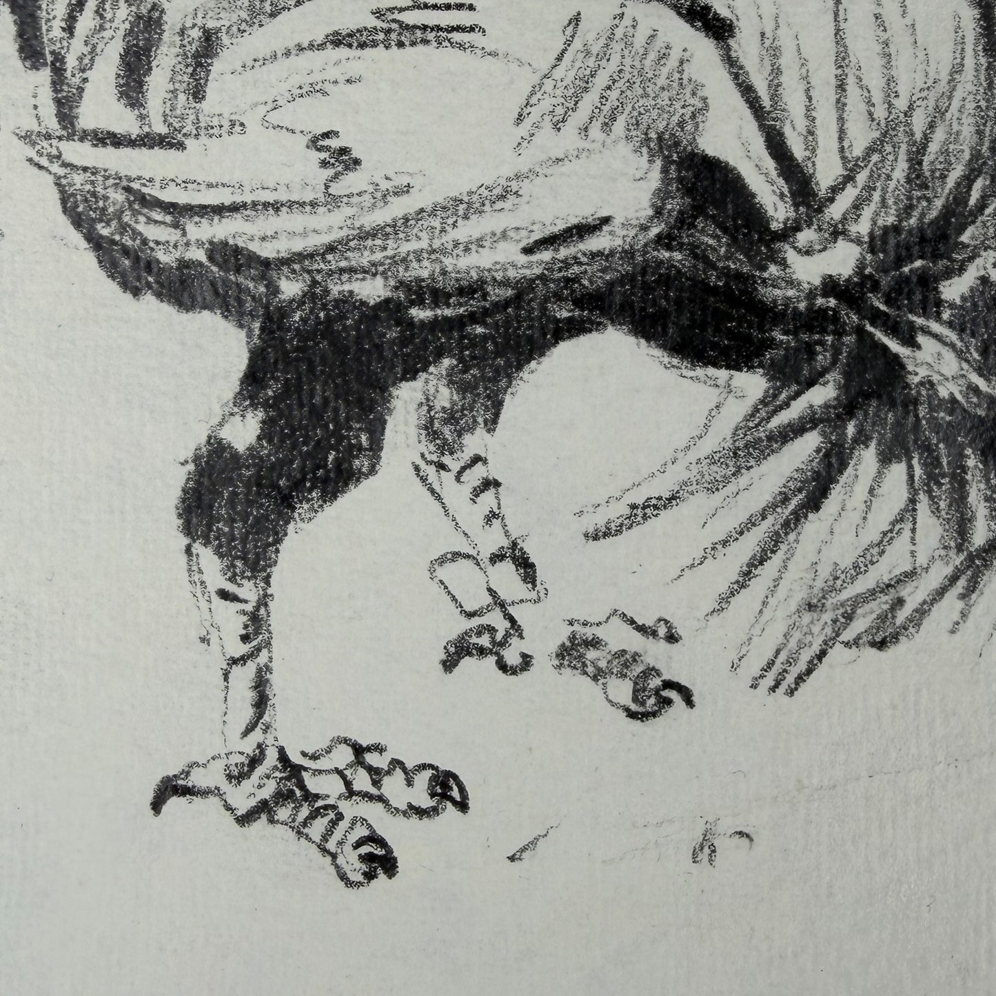 Hahn 6 - Unikat (21x30.5cm)