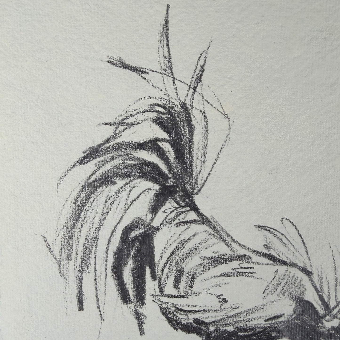 Hahn 6 - Unikat (21x30.5cm)