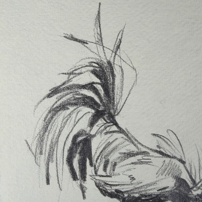 Hahn 6 - Unikat (21x30.5cm)