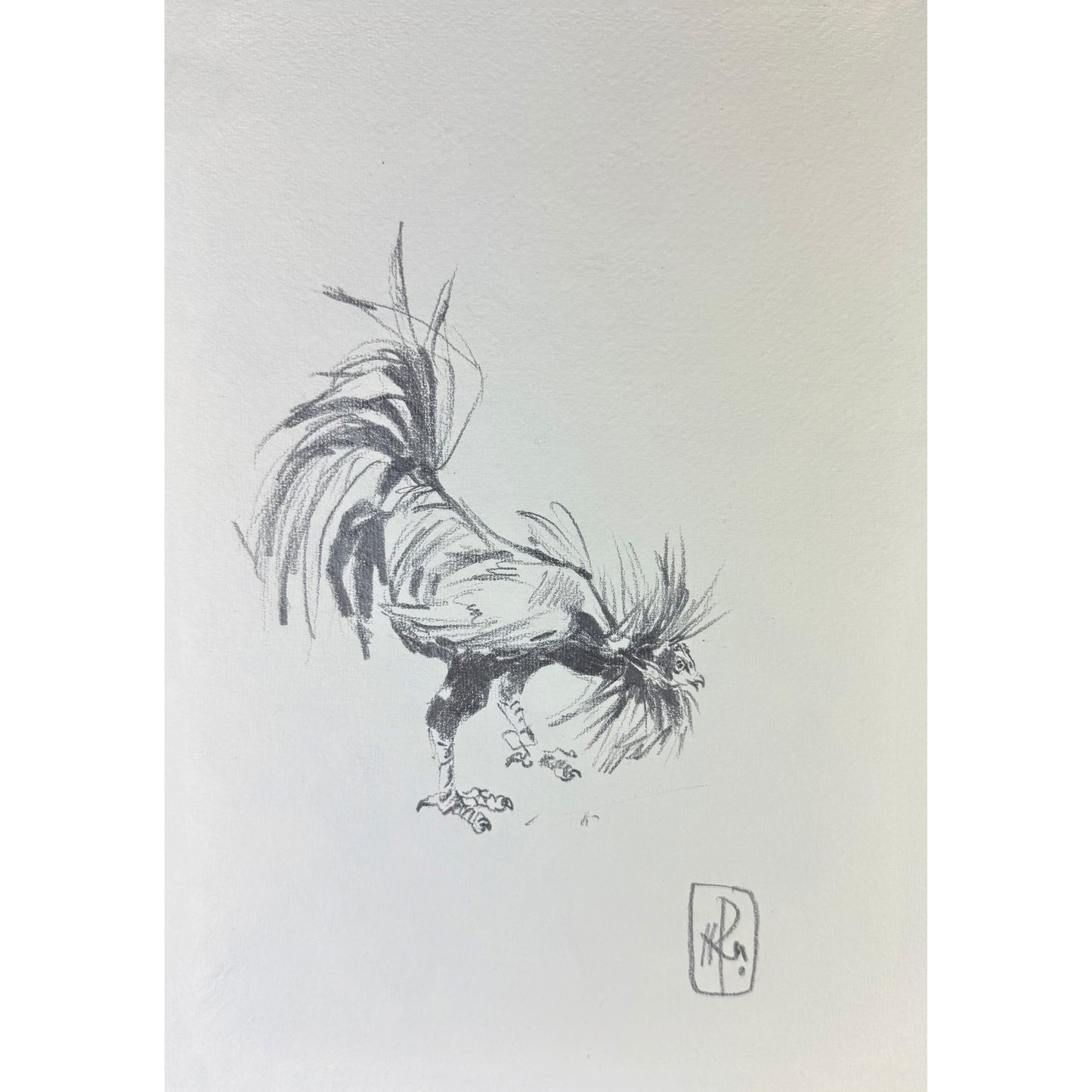 Hahn 6 - Unikat (21x30.5cm)