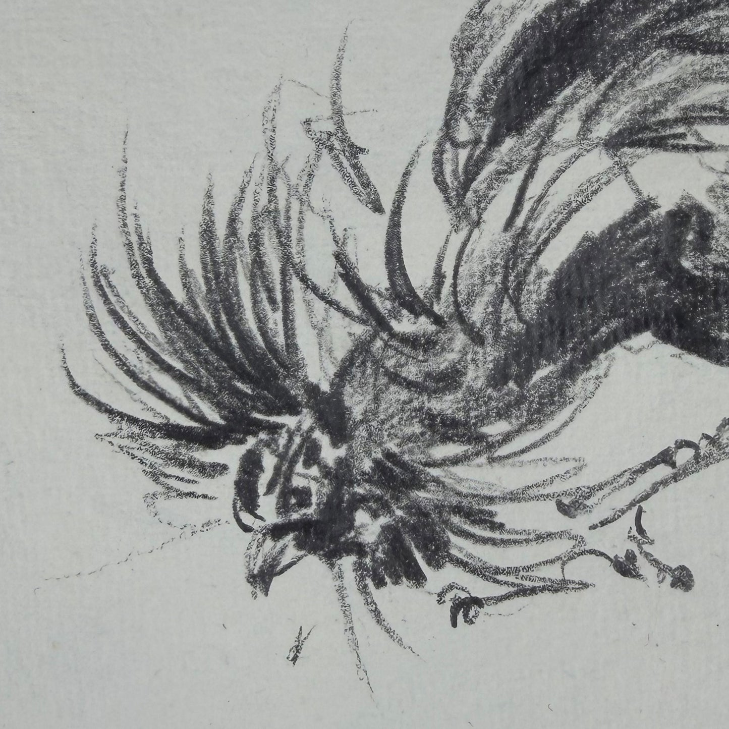 Hahn 4 - Unikat (21x30.5cm)