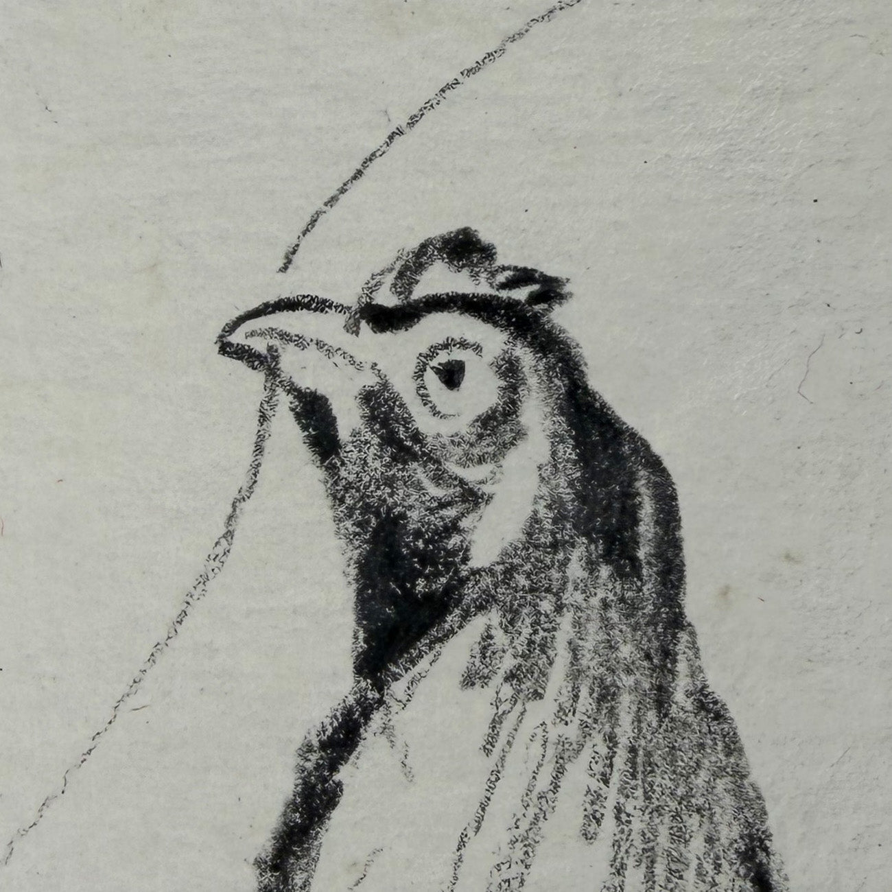 Hahn 5 - Unikat (21x30.5cm)