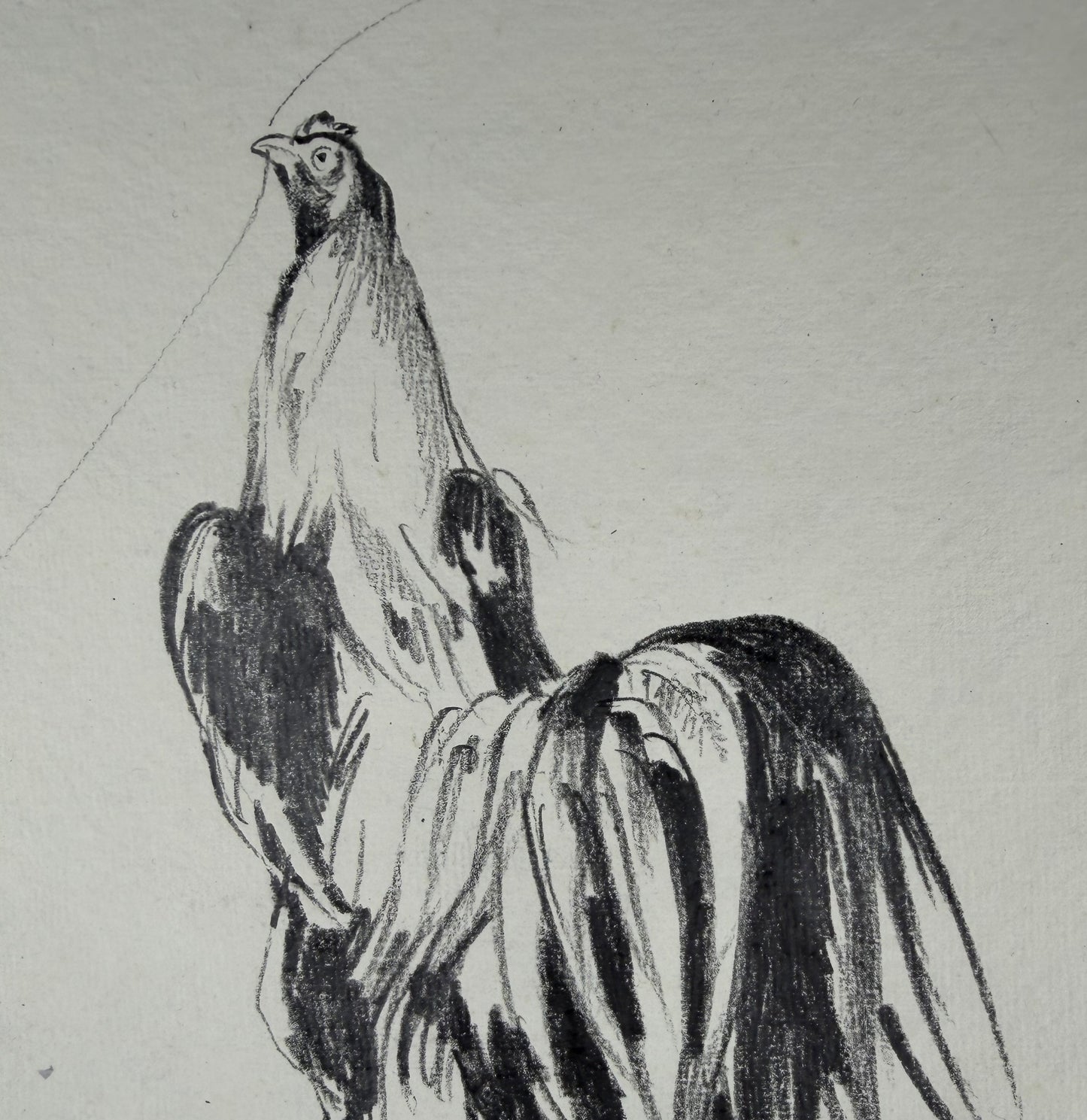 Hahn 5 - Unikat (21x30.5cm)