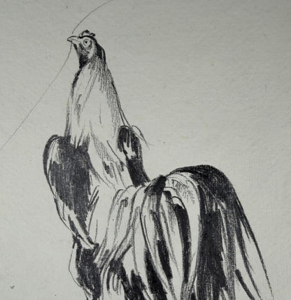 Hahn 5 - Unikat (21x30.5cm)