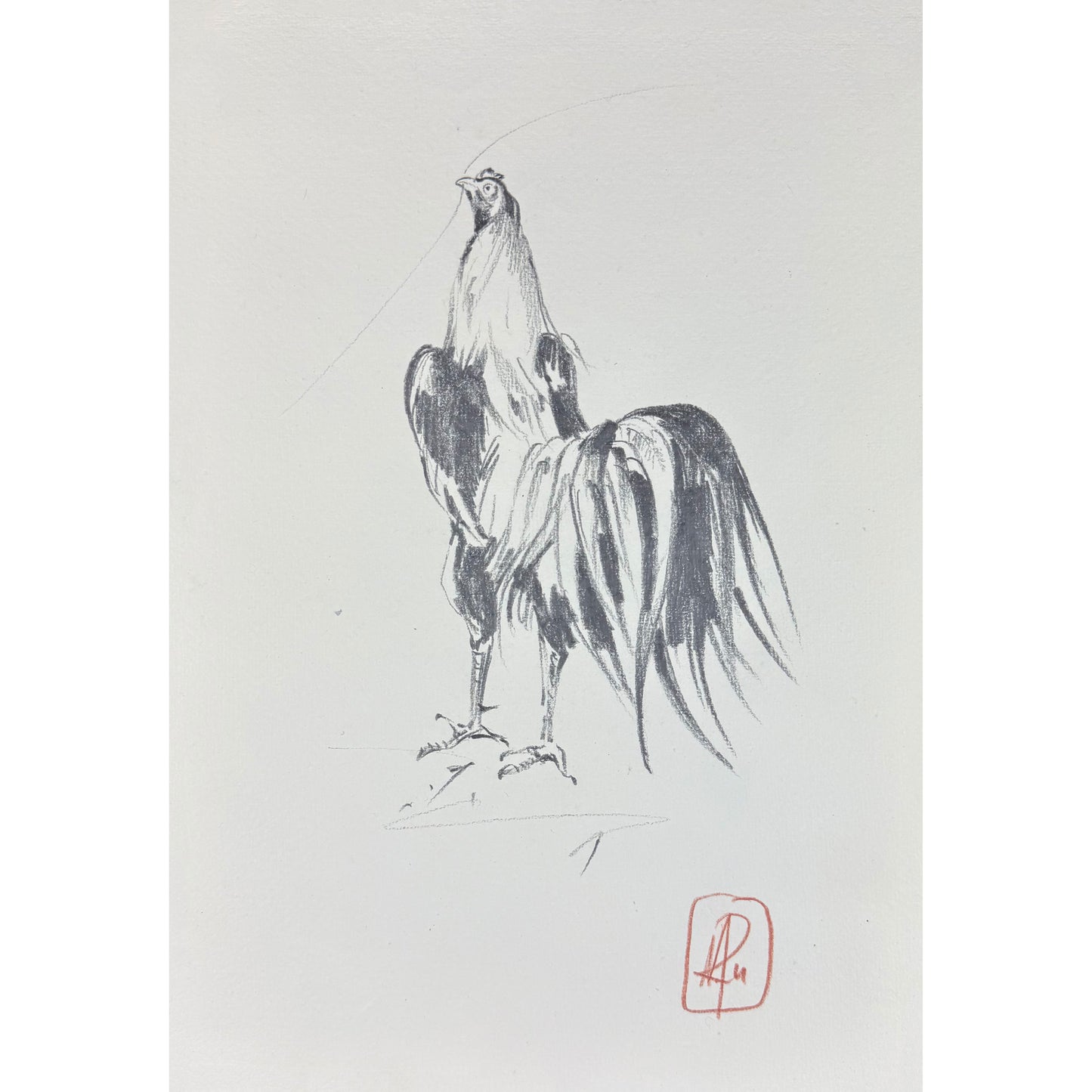 Hahn 5 - Unikat (21x30.5cm)