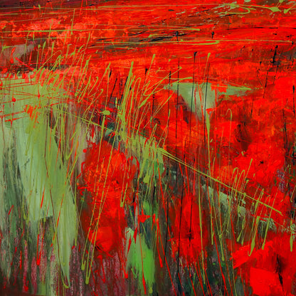 Mohnblumenfeld Bild 3