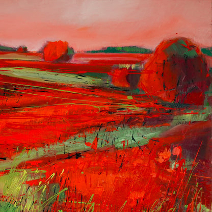 Mohnblumenfeld Bild 4