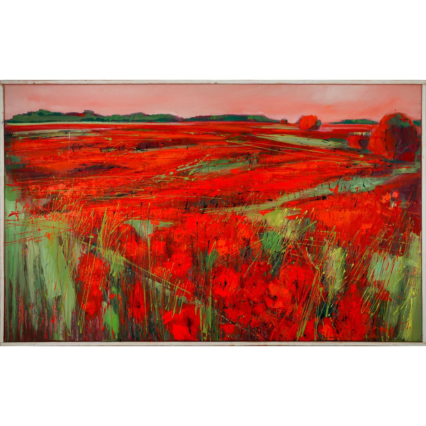 Mohnblumenfeld Bild 1