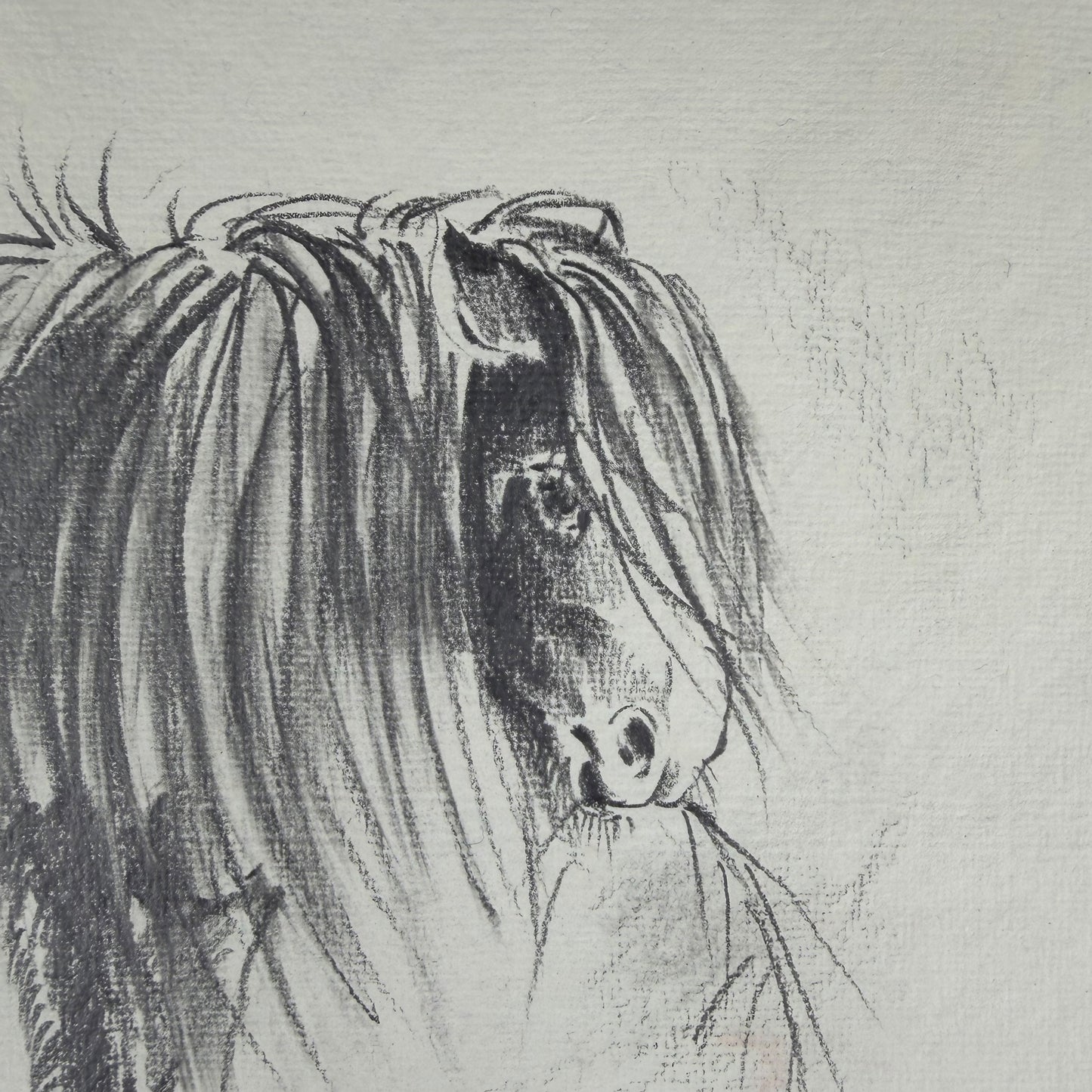 Pferd - Unikat (21x30.5cm)