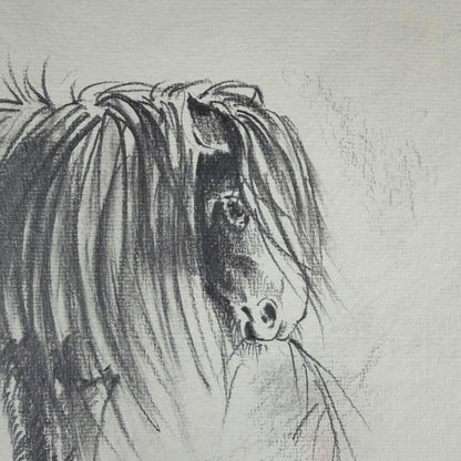 Pferd - Unikat (21x30.5cm)