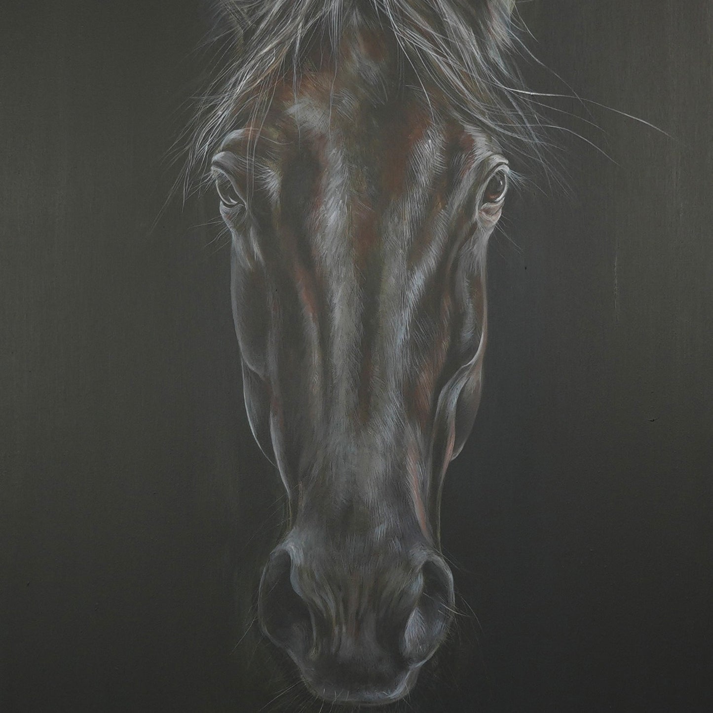 Pferdekopf - Unikat (70x120cm)