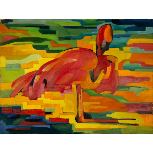 Flamingo Bild 1