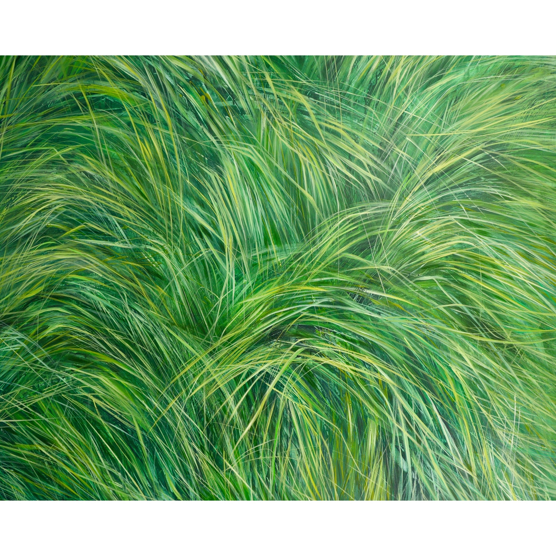 Grünes, grünes Gras Bild 1