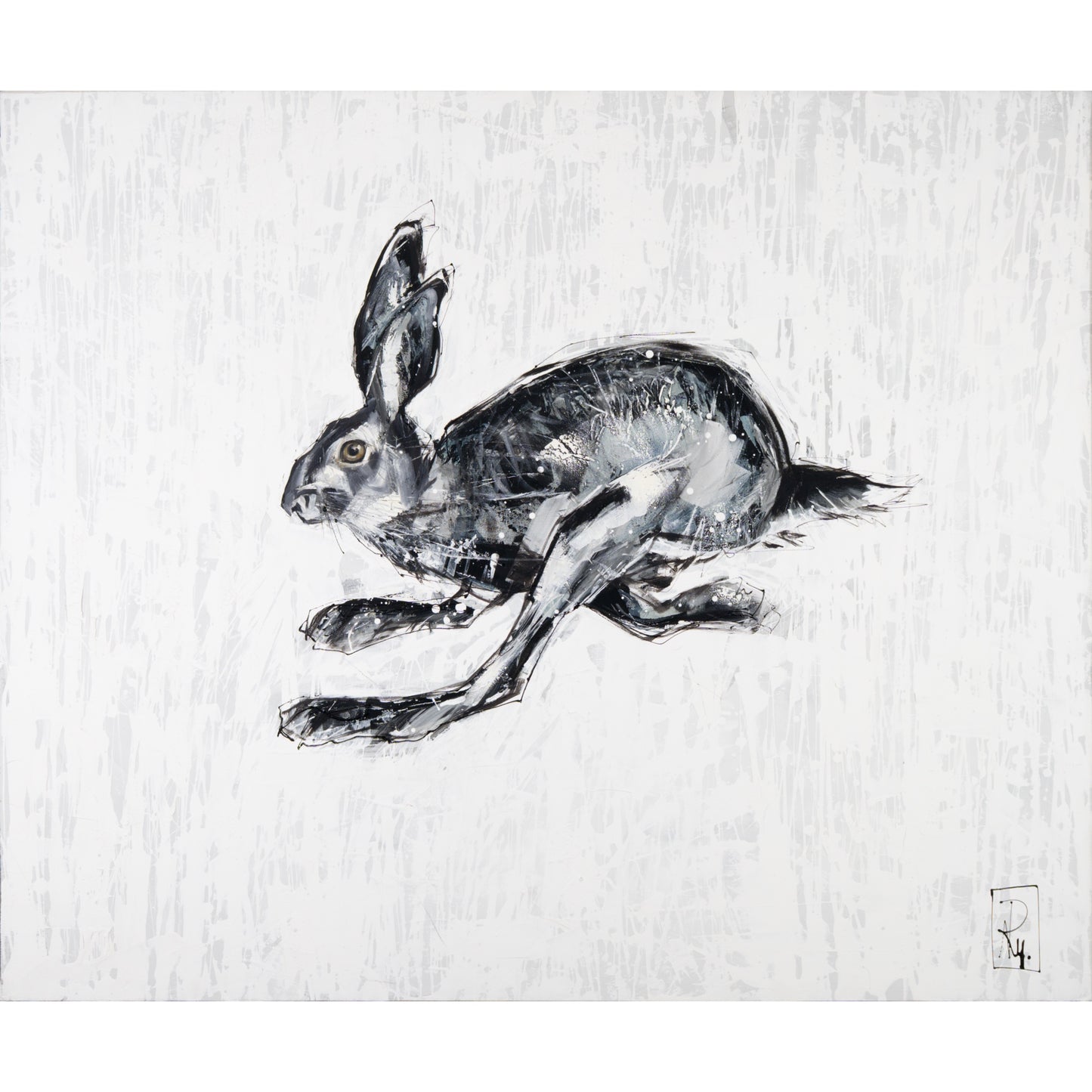 Hase Bild 1
