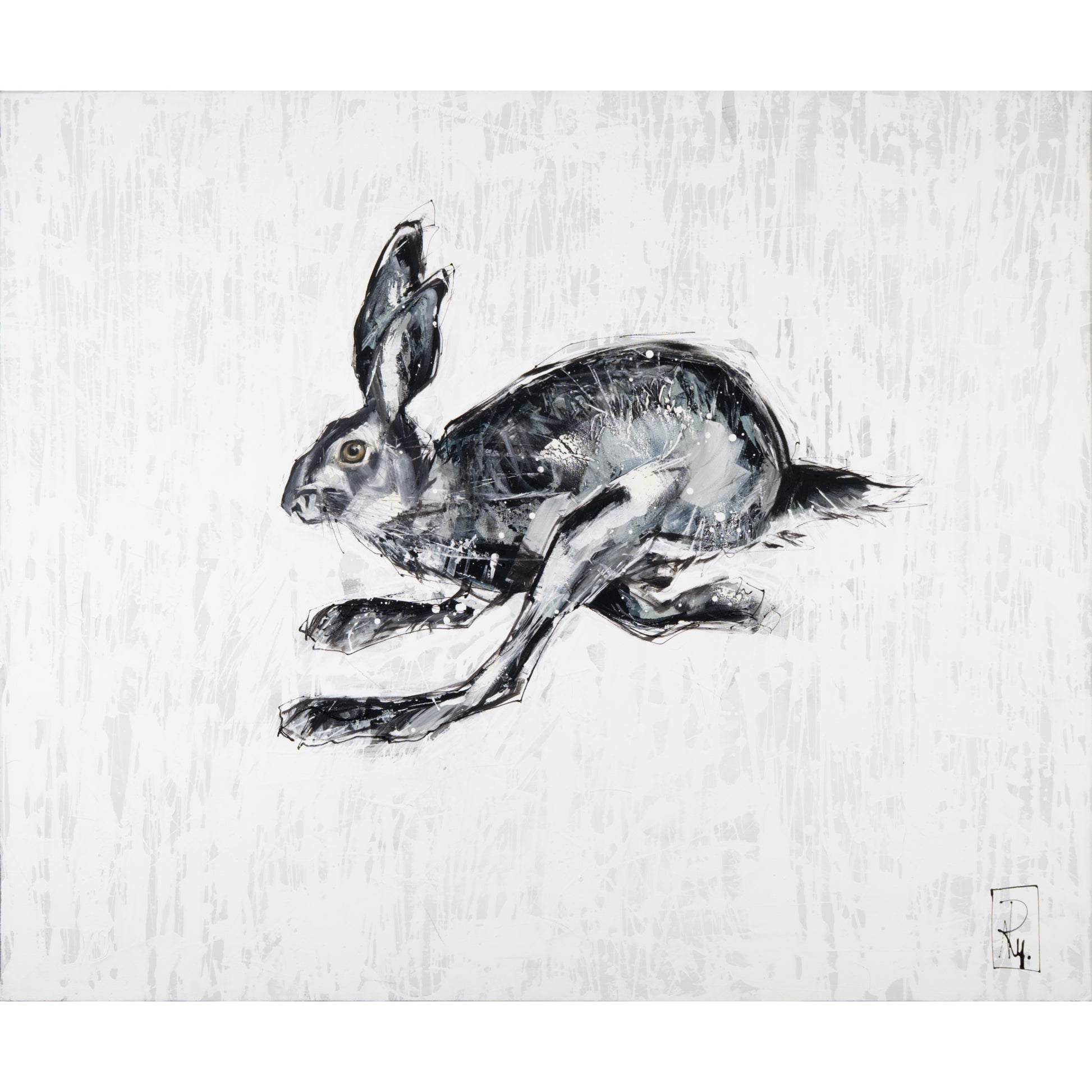 Hase Bild 1