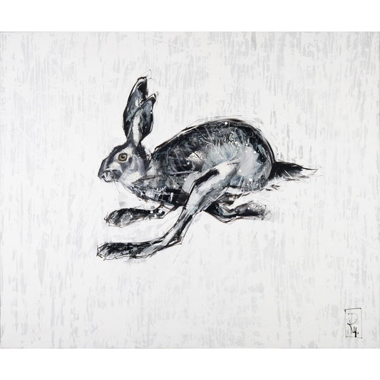Hase Bild 1