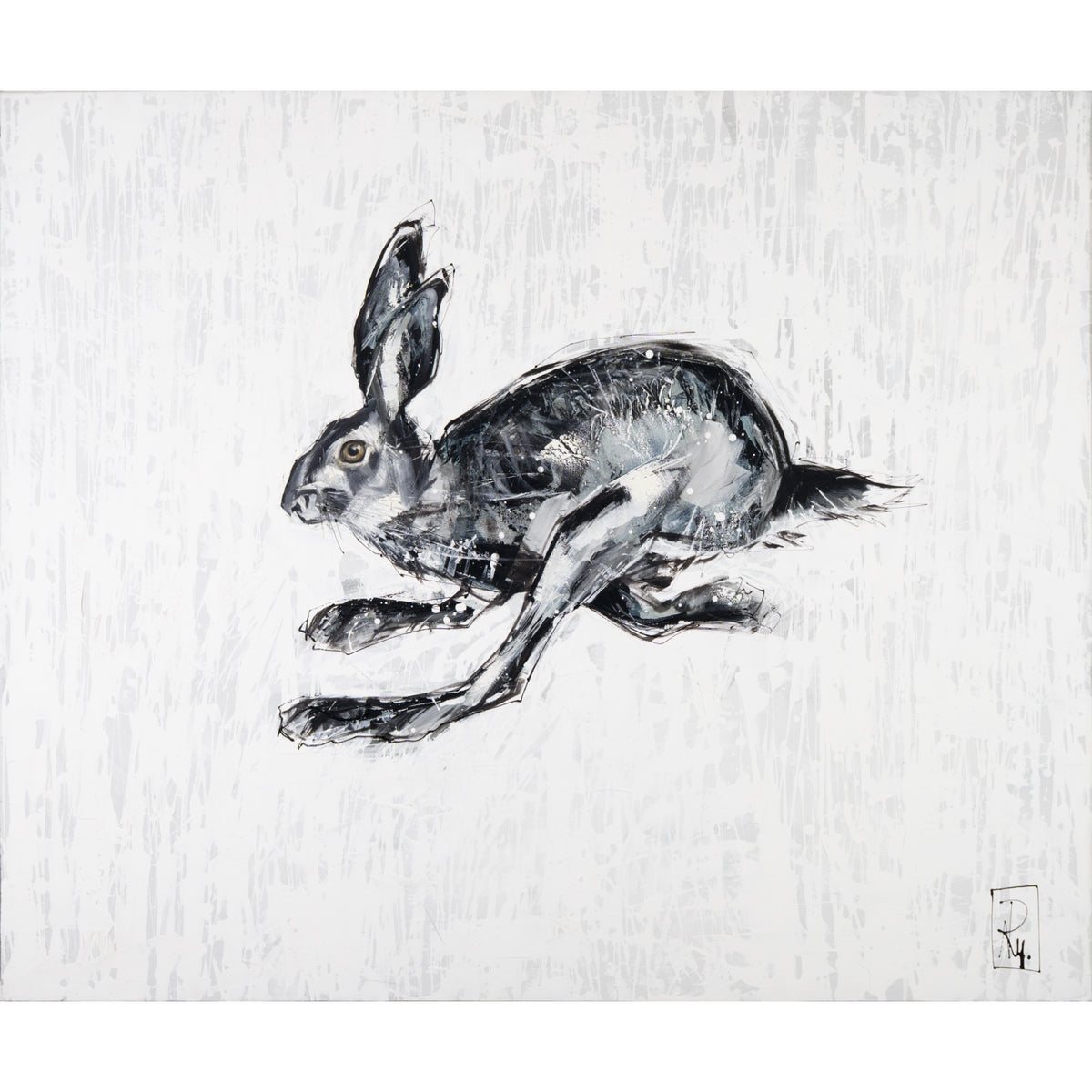 Hase Bild 1