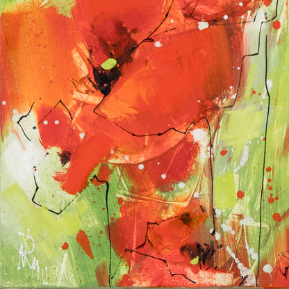 Klatschmohn - Klein Bild 3