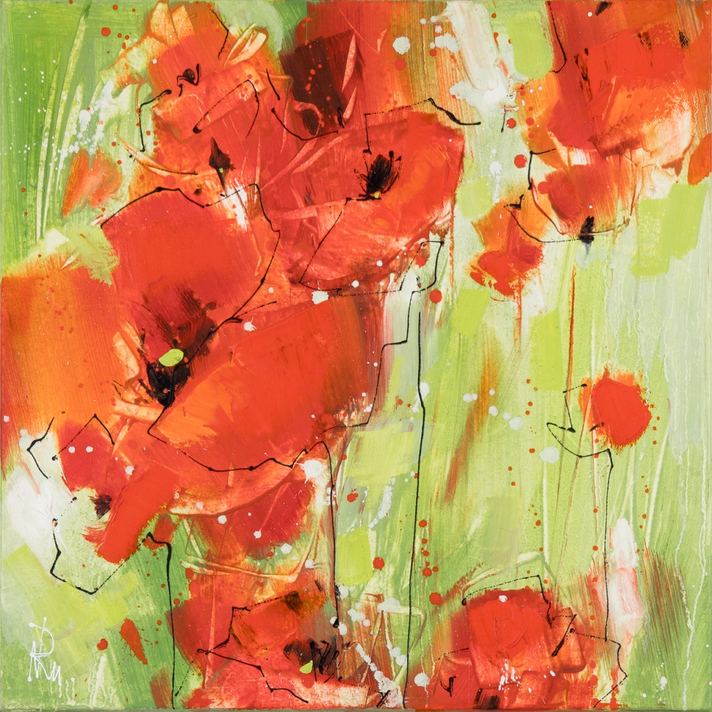 Klatschmohn - Klein Bild 1
