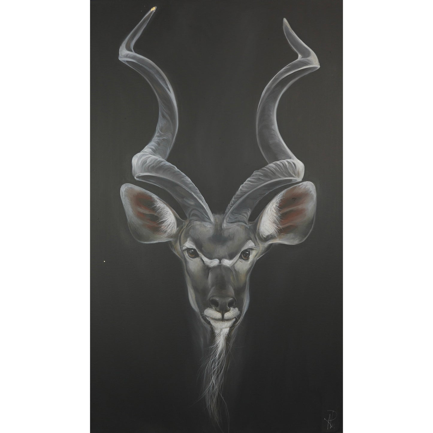 Kudu Bild 1
