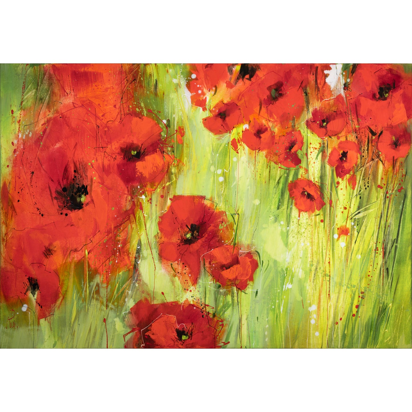 Mohnblumen Bild 1
