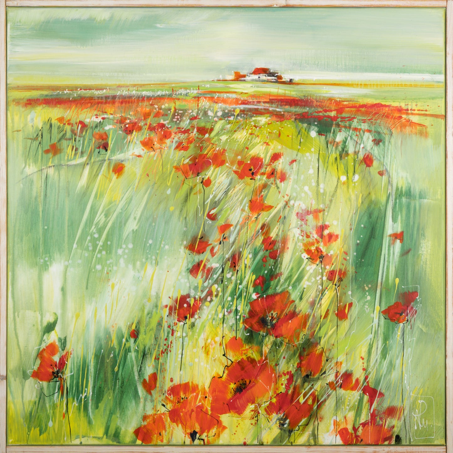 Morgen Mohn Bild 1