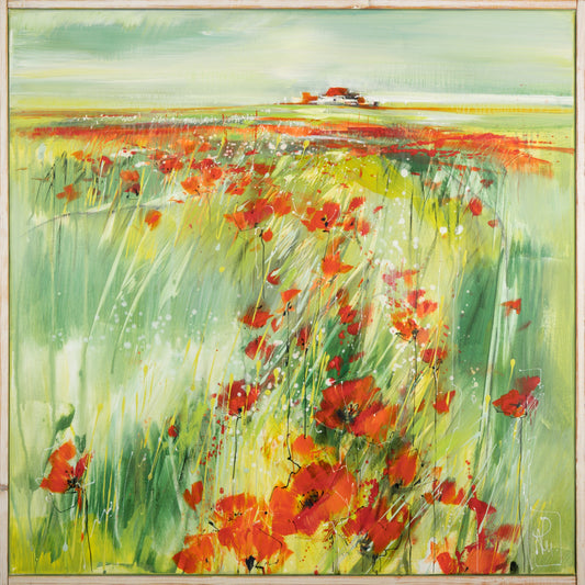 Morgen Mohn Bild 1