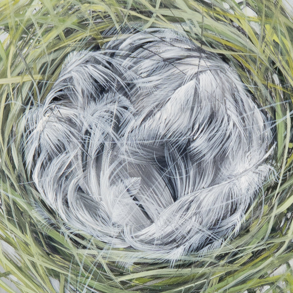 Nest Bild 3