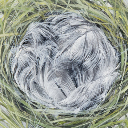 Nest Bild 3