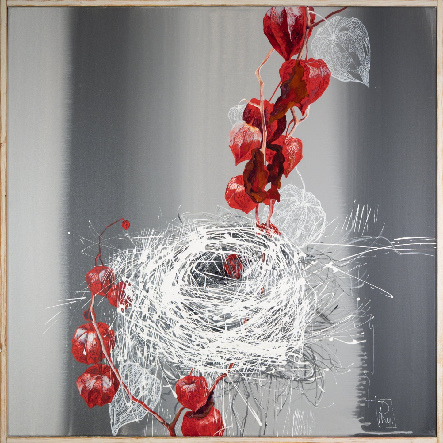 Physalis Bild 1