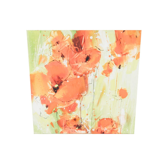 Klatschmohn - Klein Bild 2