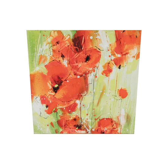 Klatschmohn - Klein Bild 2