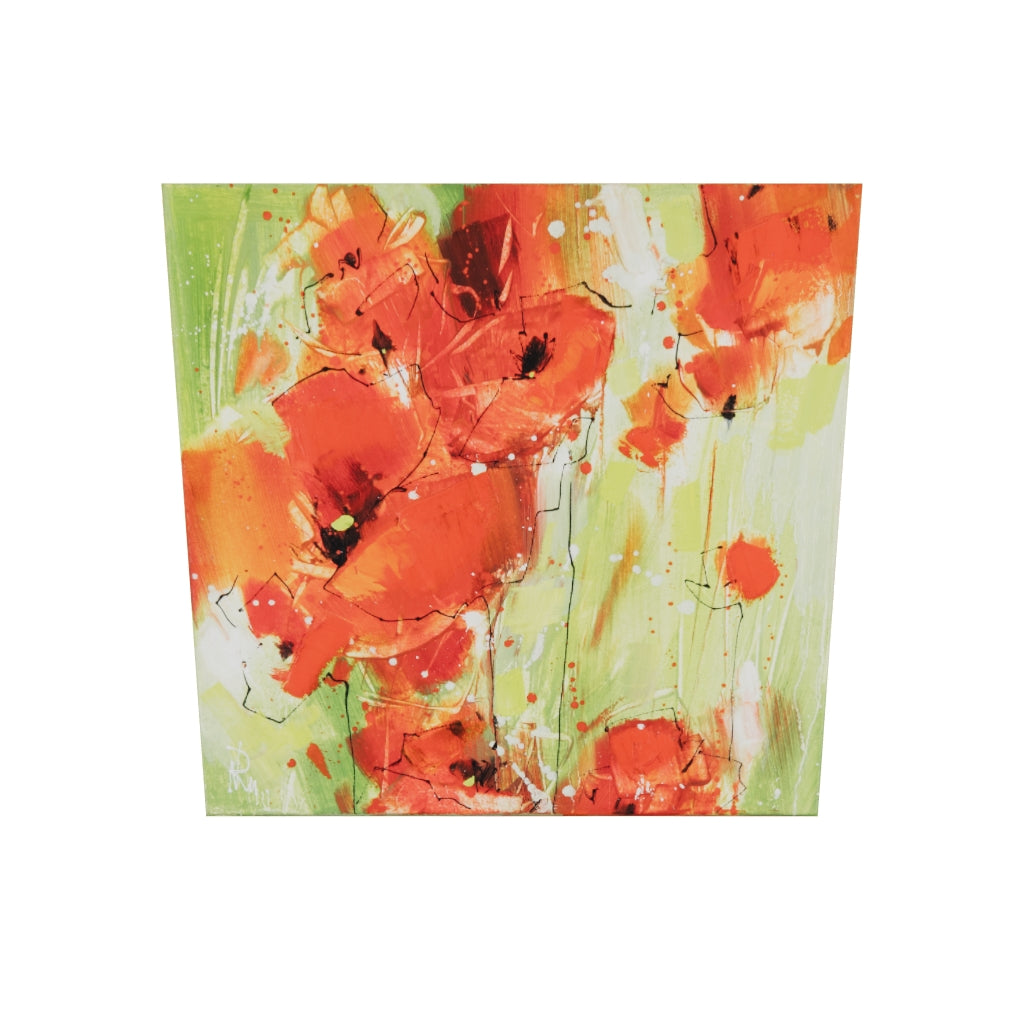 Klatschmohn - Klein Bild 2