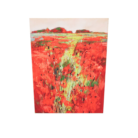Weg im Mohn Bild 2