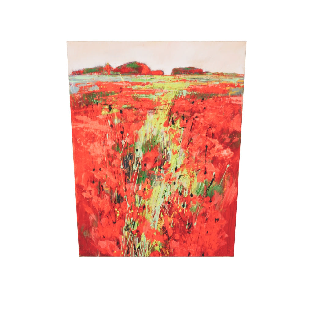 Weg im Mohn Bild 2