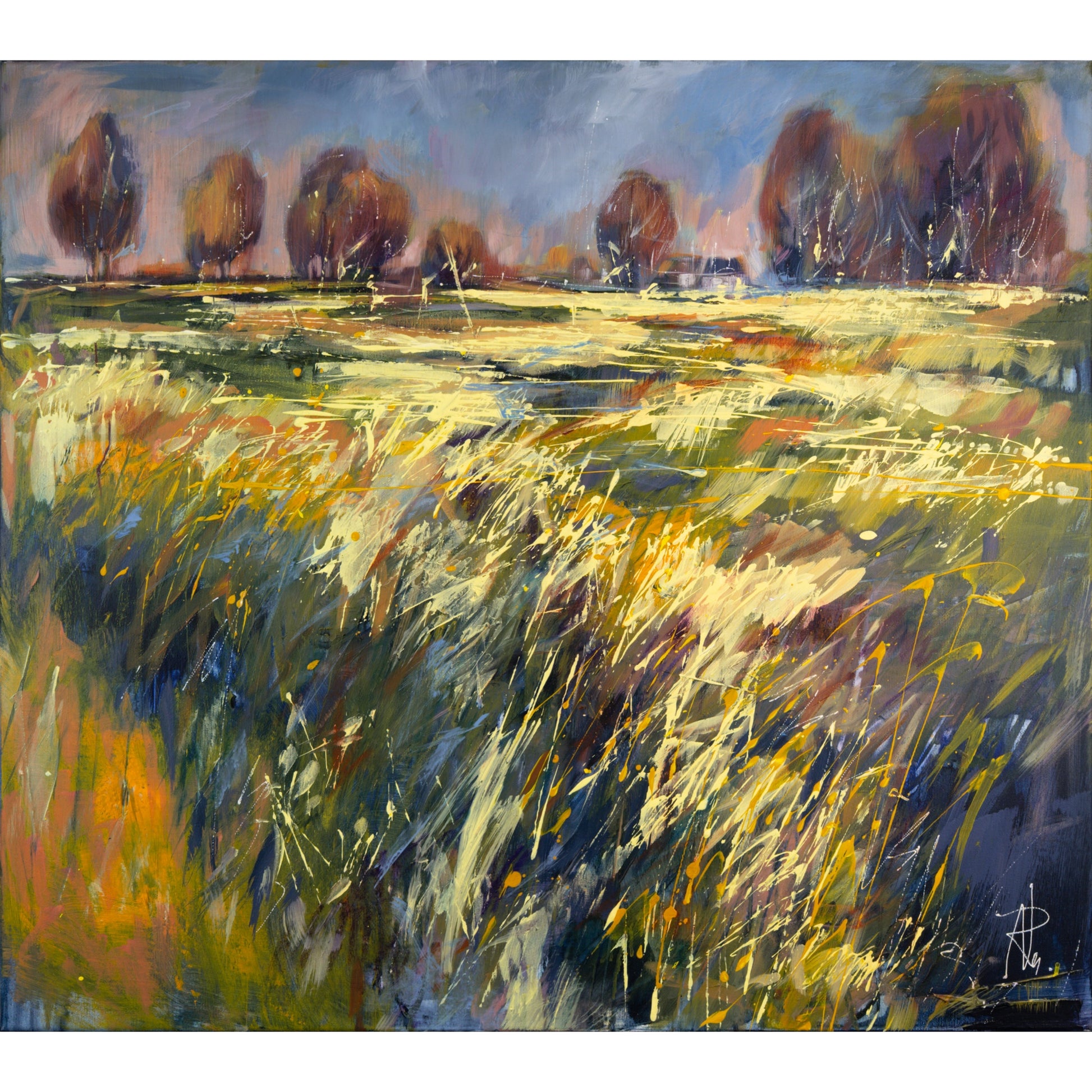 Rapschlandschaft Bild 1