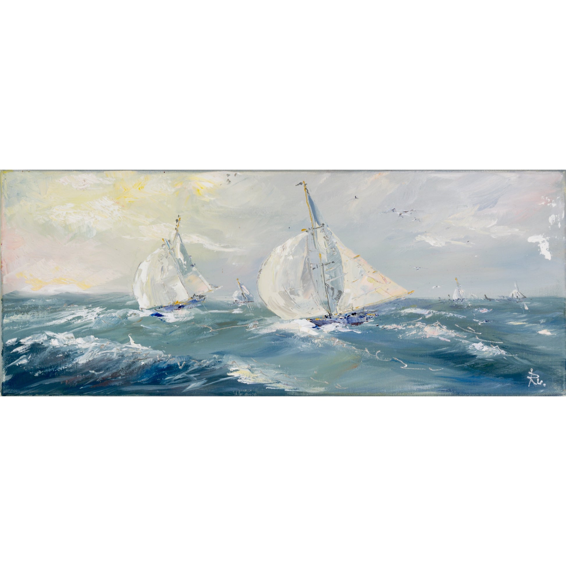Regatta auf Ostsee Bild 1