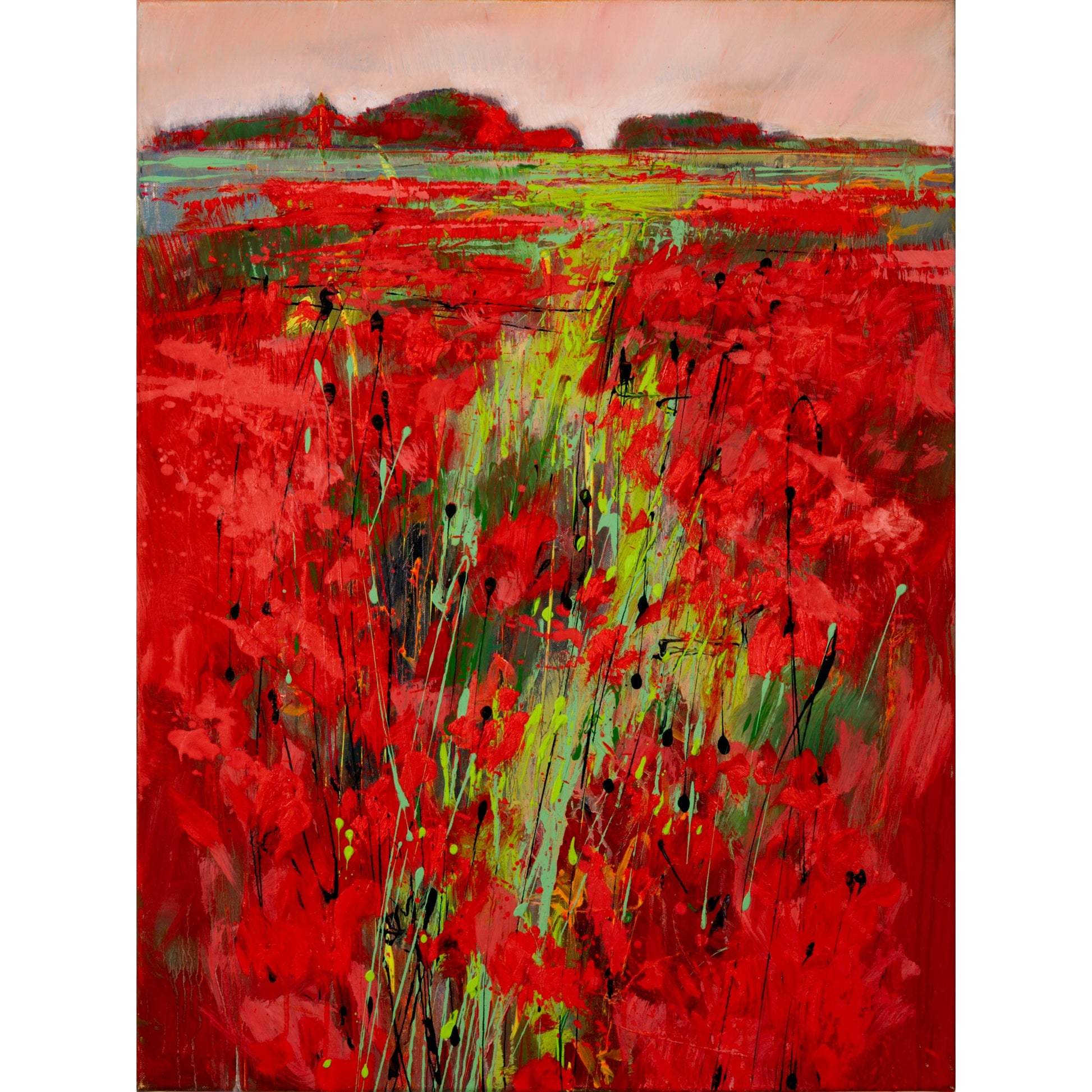 Weg im Mohn Bild 1